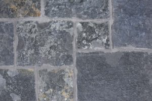 altera black canyon castle