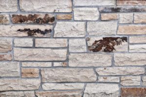 altera mesa creek ledge