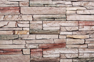 phoenix forest ridge