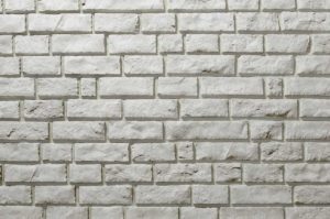 pas provia polar white